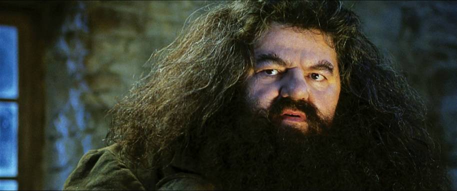 HP-F1-philosophers-stone-hagrid-hut-on-the-rock-web-landscape