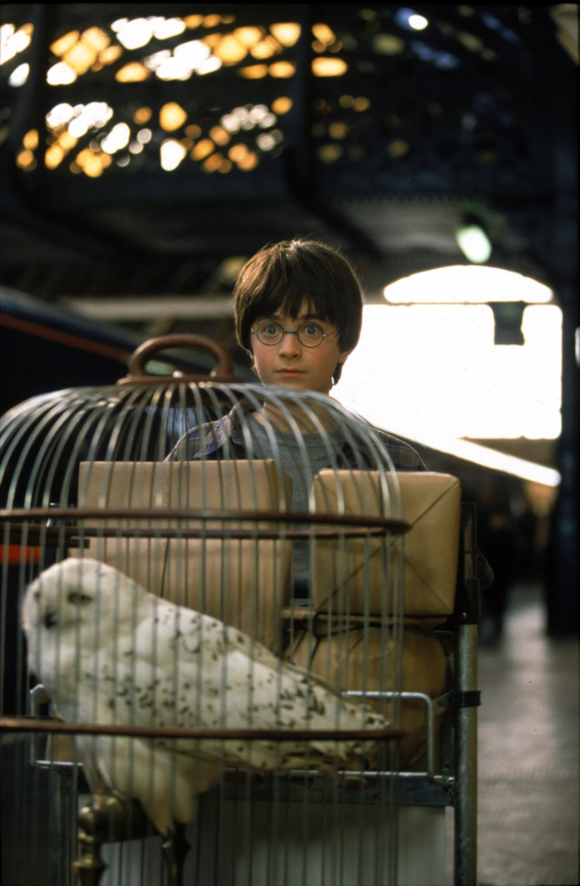 WB F1 HarryHedwig HarryWithHedwigInCage 6696