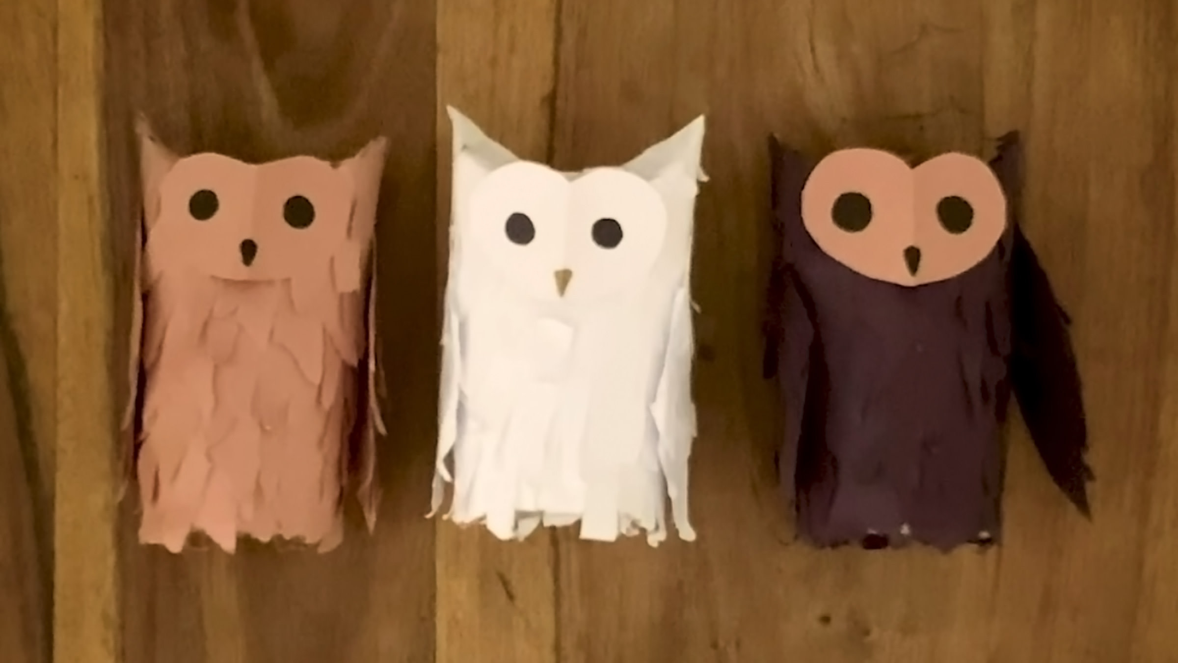 Create Your Own Paper Owls Wizarding World