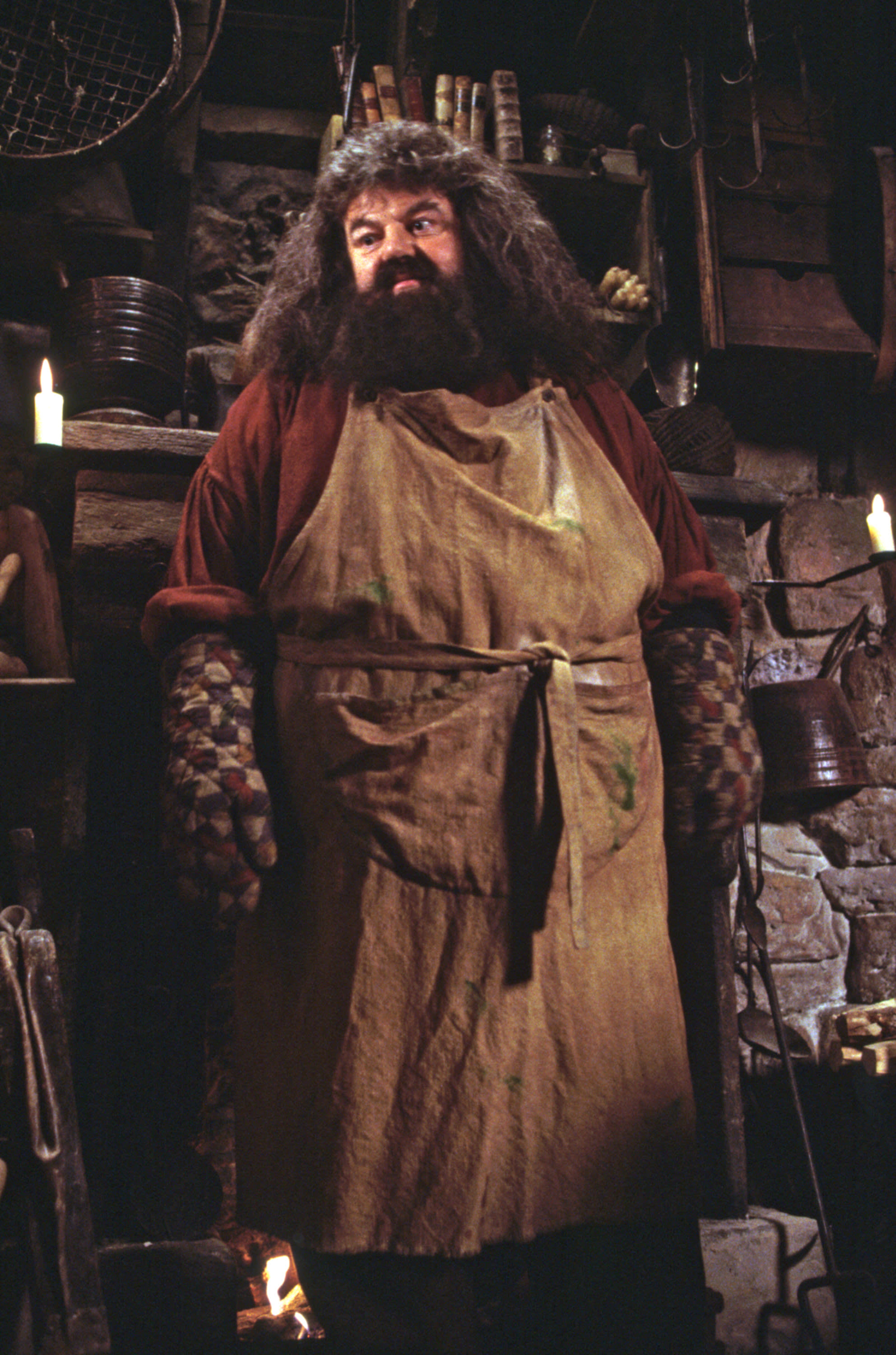 Hagrid in an apron and gloves in his hut from the Philosopher's Stone 