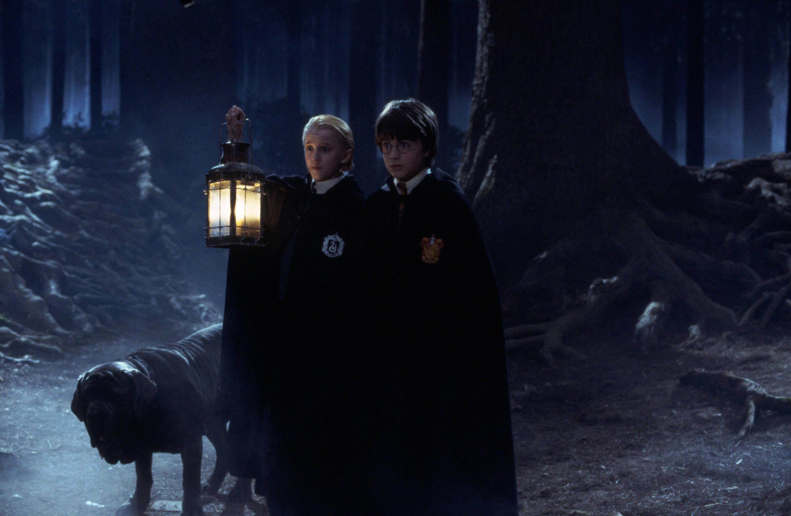 WB-HP-F1-WEB-HERO-harry-draco-forbidden-forest-fang