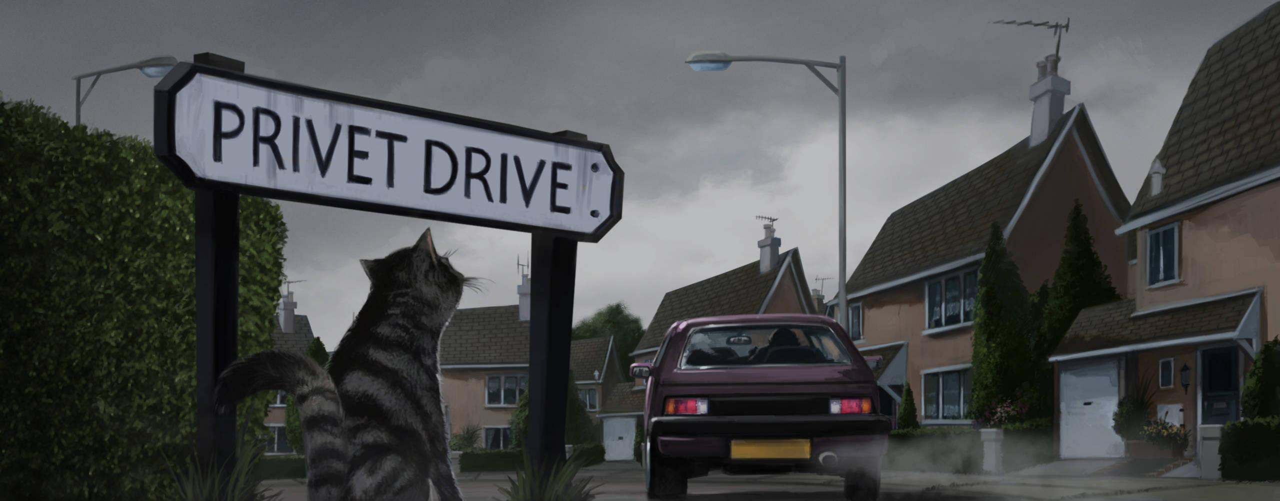 McGonagall stands outside Privet drive disguised as a cat