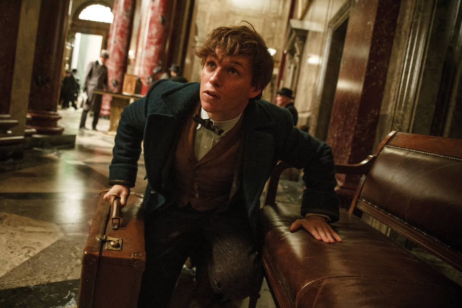 Newt Scamander holding his suitcase in the bank while crouching down