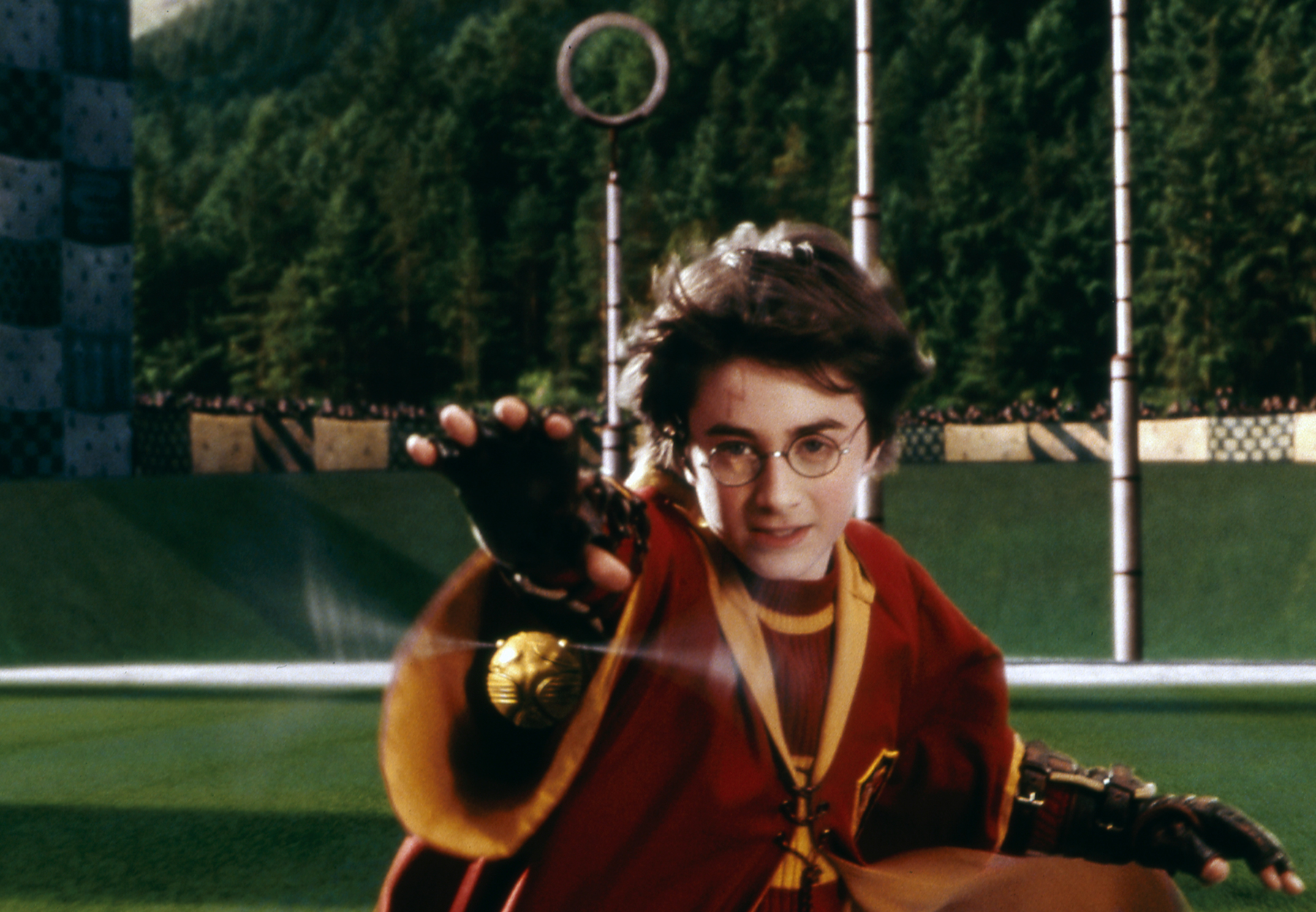 Harry Potter Catch The Snitch