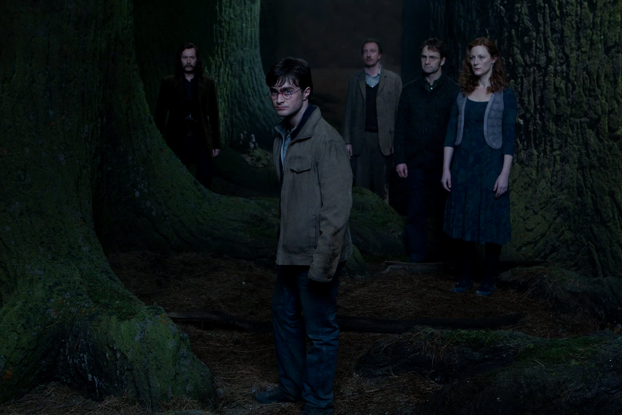 James Potter Cut Out