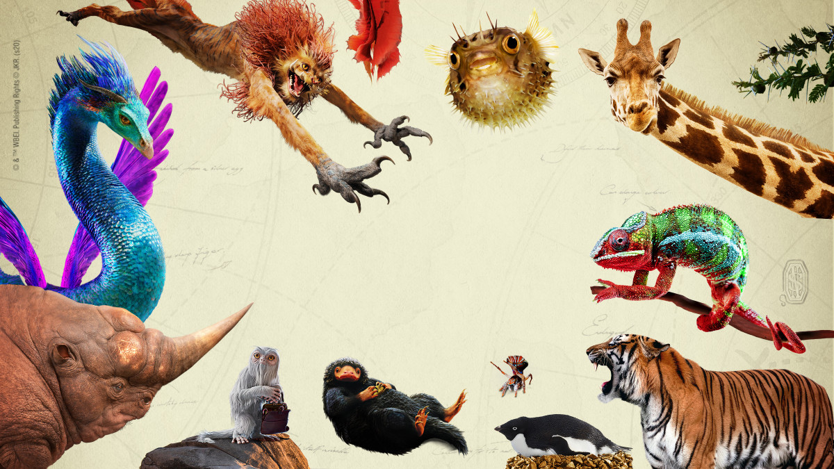 Inside Fantastic Beasts: The Wonder of Nature | Wizarding World