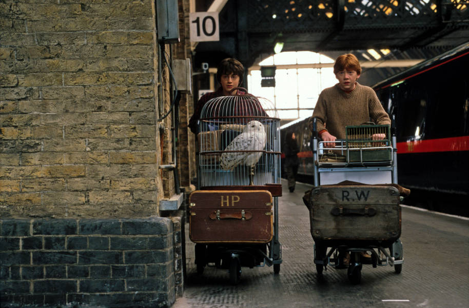 Harry and Ron with their trolleys on the station platform at King's Cross