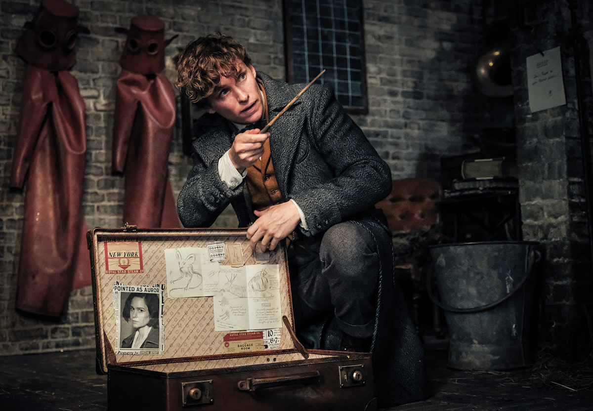 Newt Scamander S Case Official Harry Potter Encyclopedia