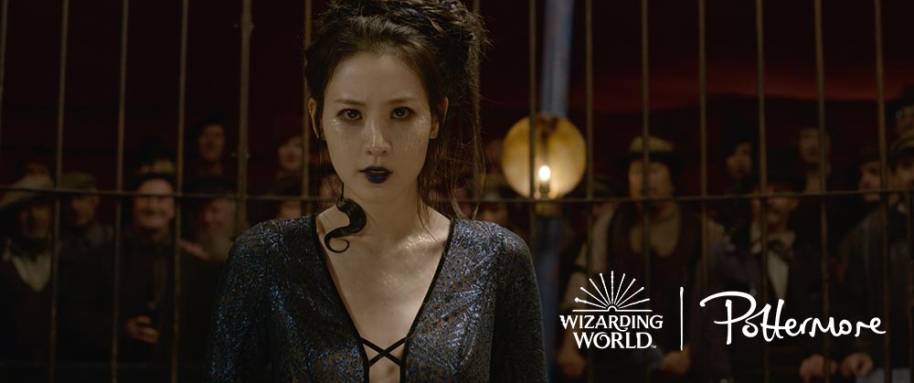 Claudia Kim in Fantastic Beasts