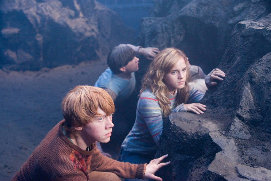 Hermione Ron and Neville at the Department of Mysteries 