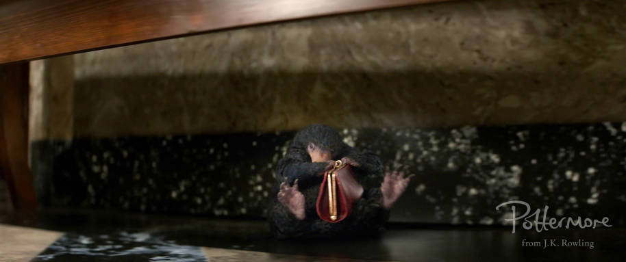 Niffler tenant un sac à main alt shot Fantastic Beasts teaser trailer pic 22