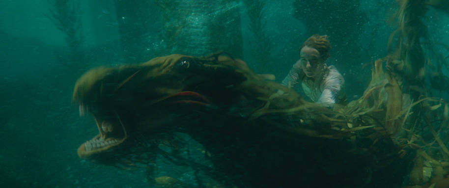 Newt riding the Kelpie he takes care of underwater