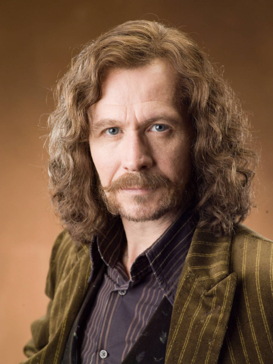 Sirius head shot from the Order of the Pheonix 