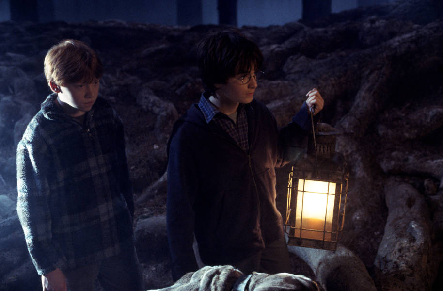 Harry and Ron walking together in the Forbidden Forest at night. Harry holds a lantern and both look nervous..