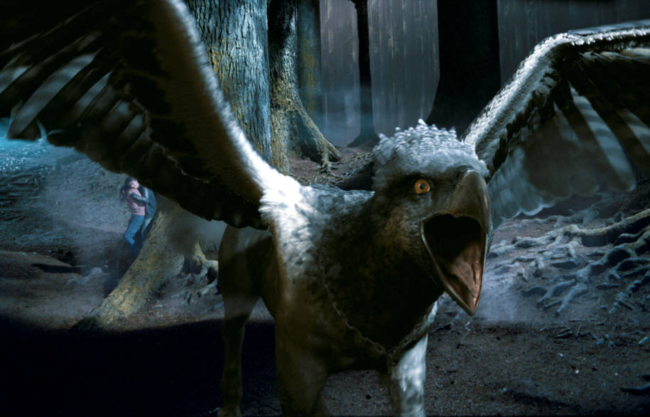 PMARCHIVE-WB F3 Buckbeak BuckbeakInForest HP3-FX-242 18j0tTiaxEsQYeA4KWiSeq-b7