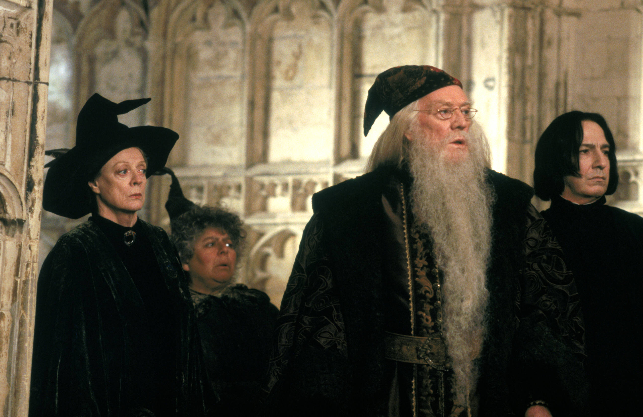Dumbledore Sprout Sanpe and McGonagall in the corridor 