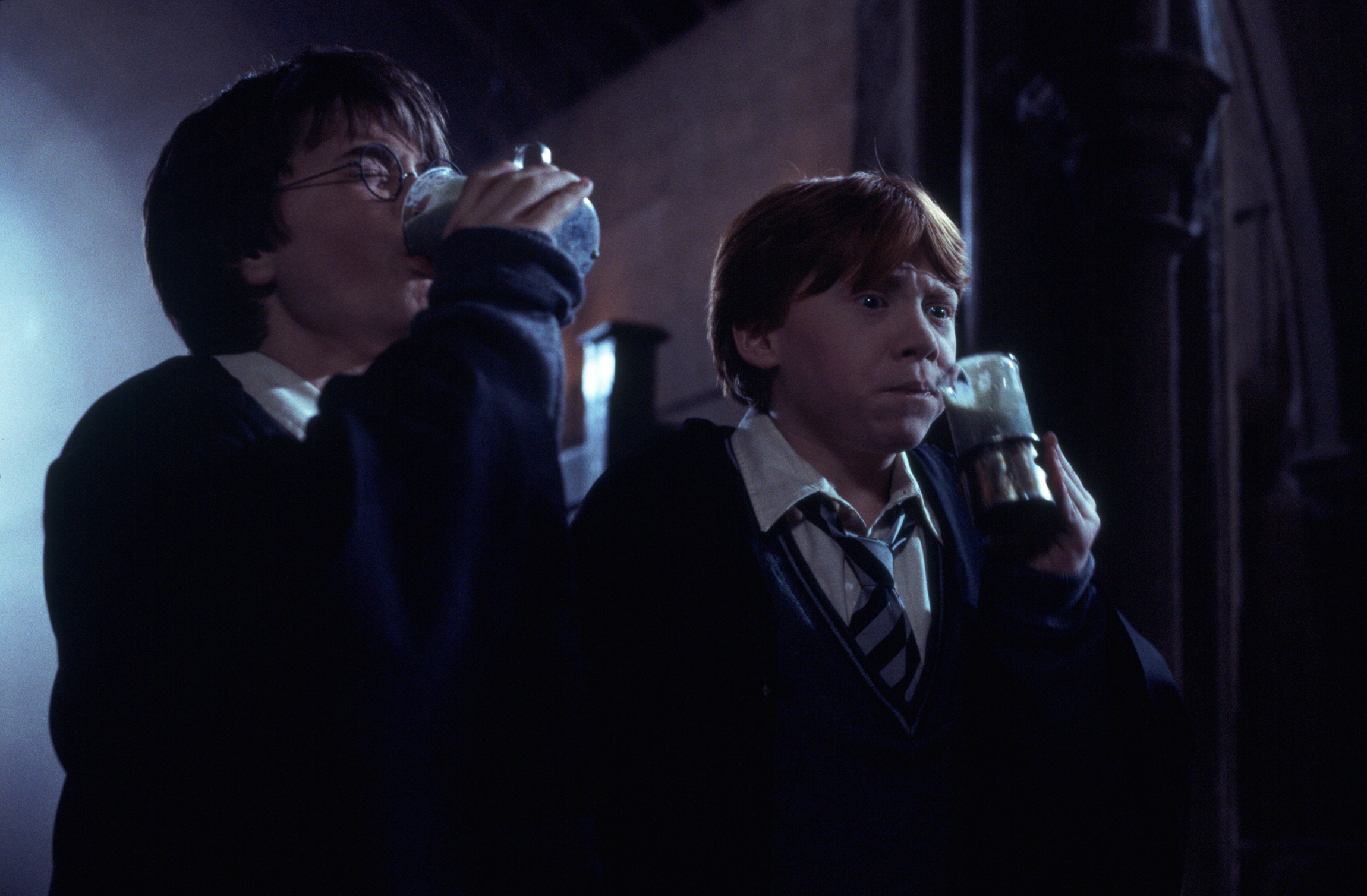 Which Potion Would Be Right For You Wizarding World   WB HP F2 Chamber Of Secrets Polyjuice Potion Ron Harry 