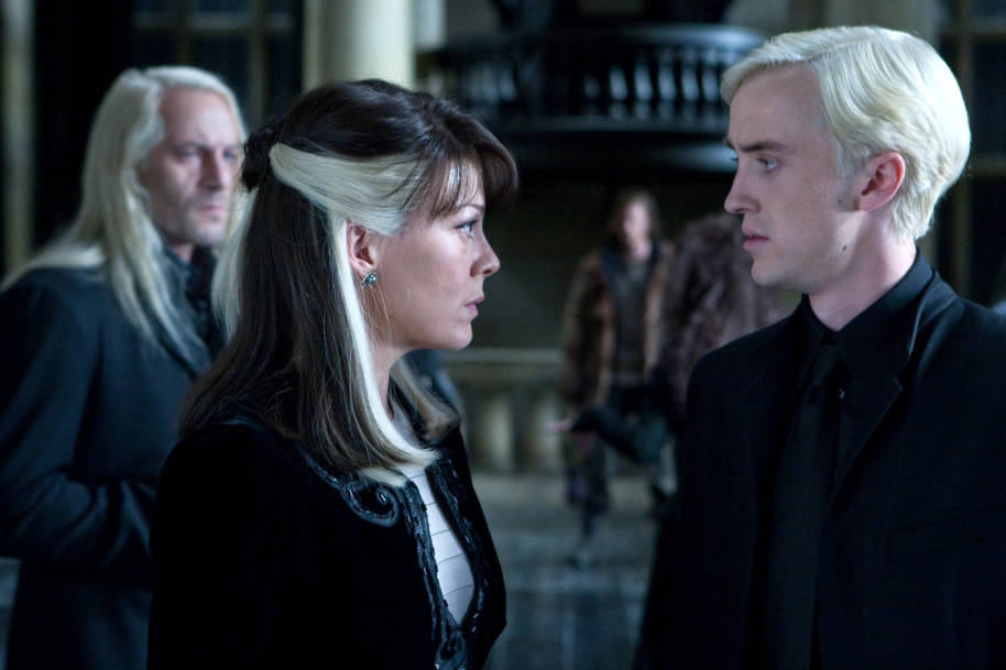 Draco and Narcissa face each other 