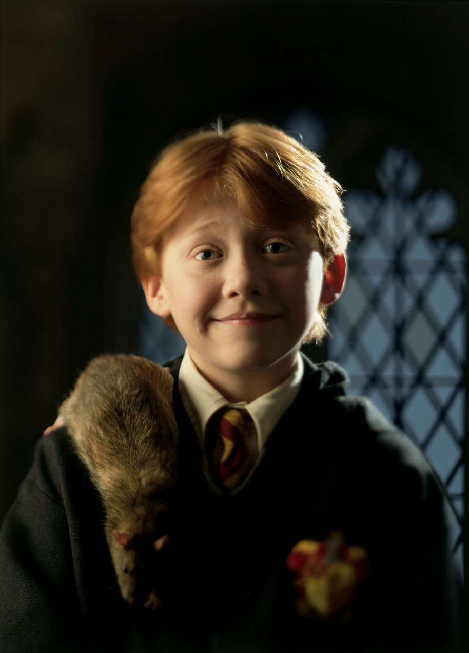 Scabbers the rat sits upon Ron Weasley's shoulders in Harry Potter and the Philosopher's Stone