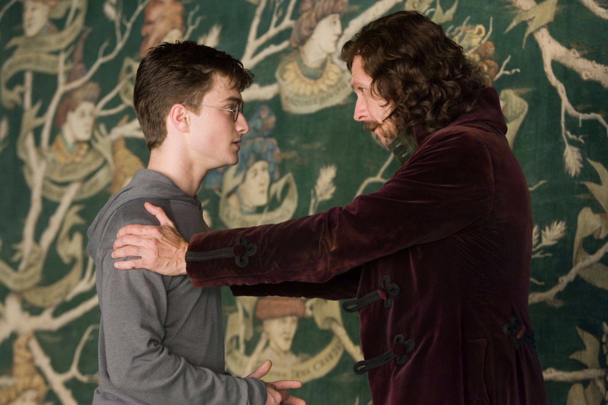 Sirius holding Harry's shoulder in Grimmauld Place from the Order of the Phoneix 