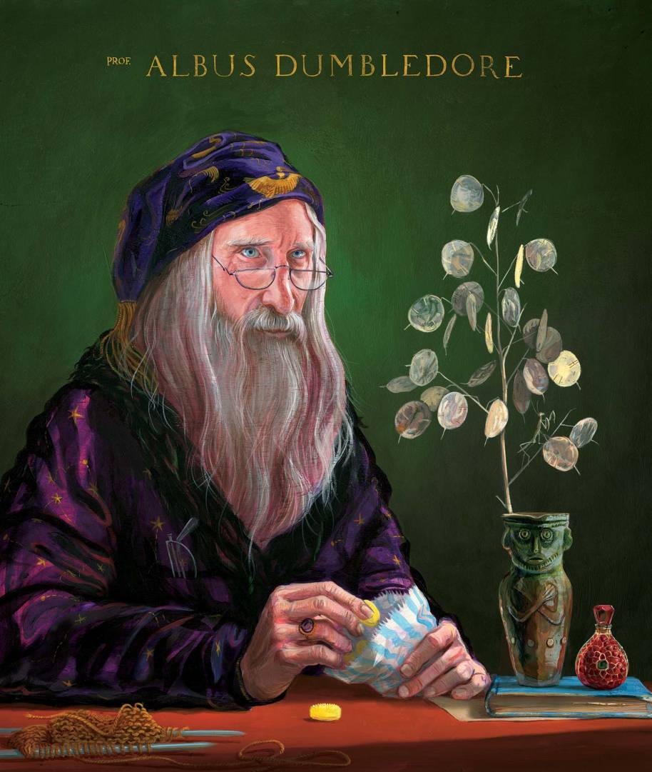 Albus Dumbledore illustrated by Jim Kay