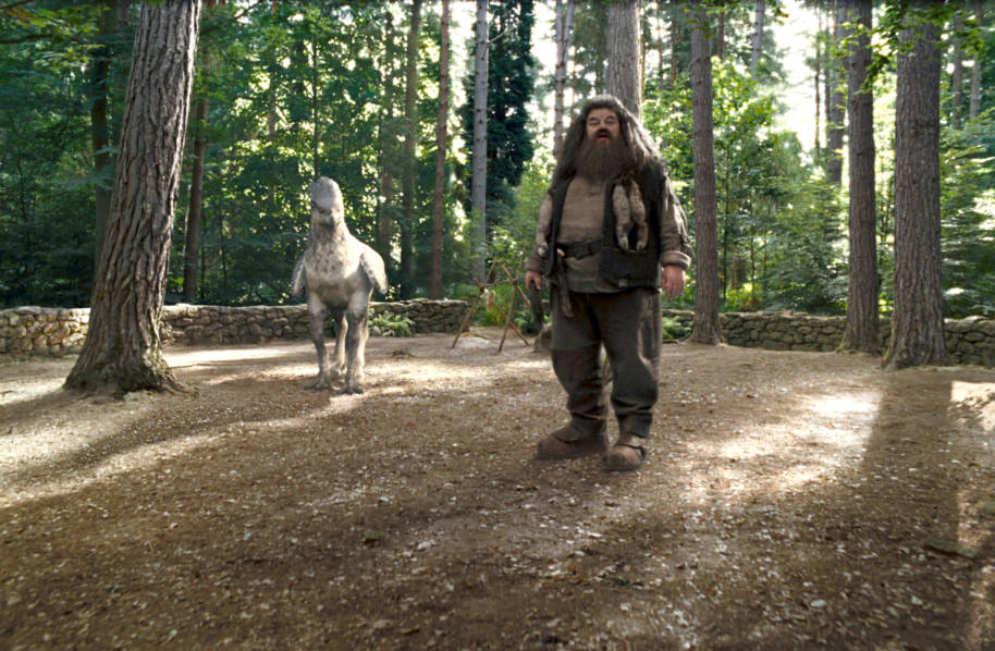 Hagrid introduces his Care of Magical Creatures class to Buckbeak