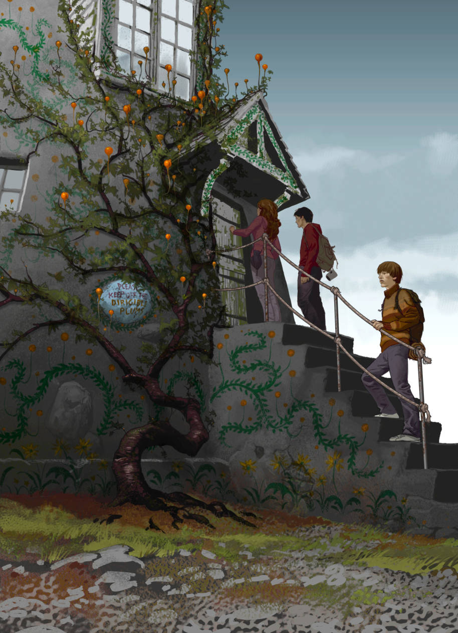 Harry Ron et Hermione devant la maison Lovegood 