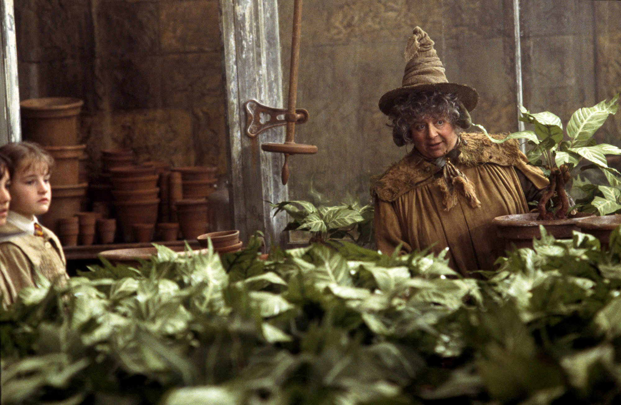 Professor Sprout teaching a Herbology lesson on Mandrakes.