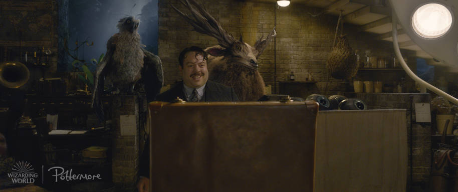 Jacob Kowalski in the trailer for Fantastic Beasts: Crimes of Grindelwald