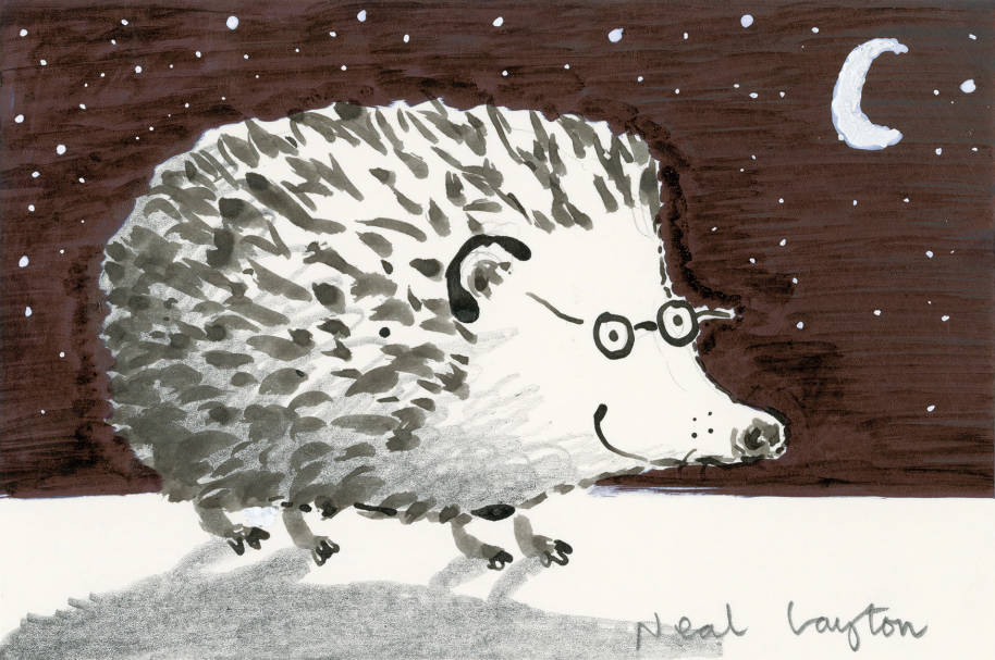 Hedgehog - Neal Layton