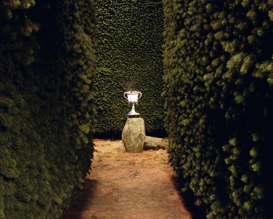 The Triwizard Cup in the maze