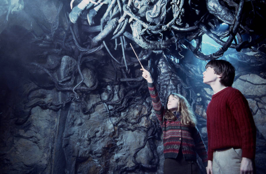 Harry and Hermione are looking up at the Devil's Snare. Hermione is pointing her wand at it.