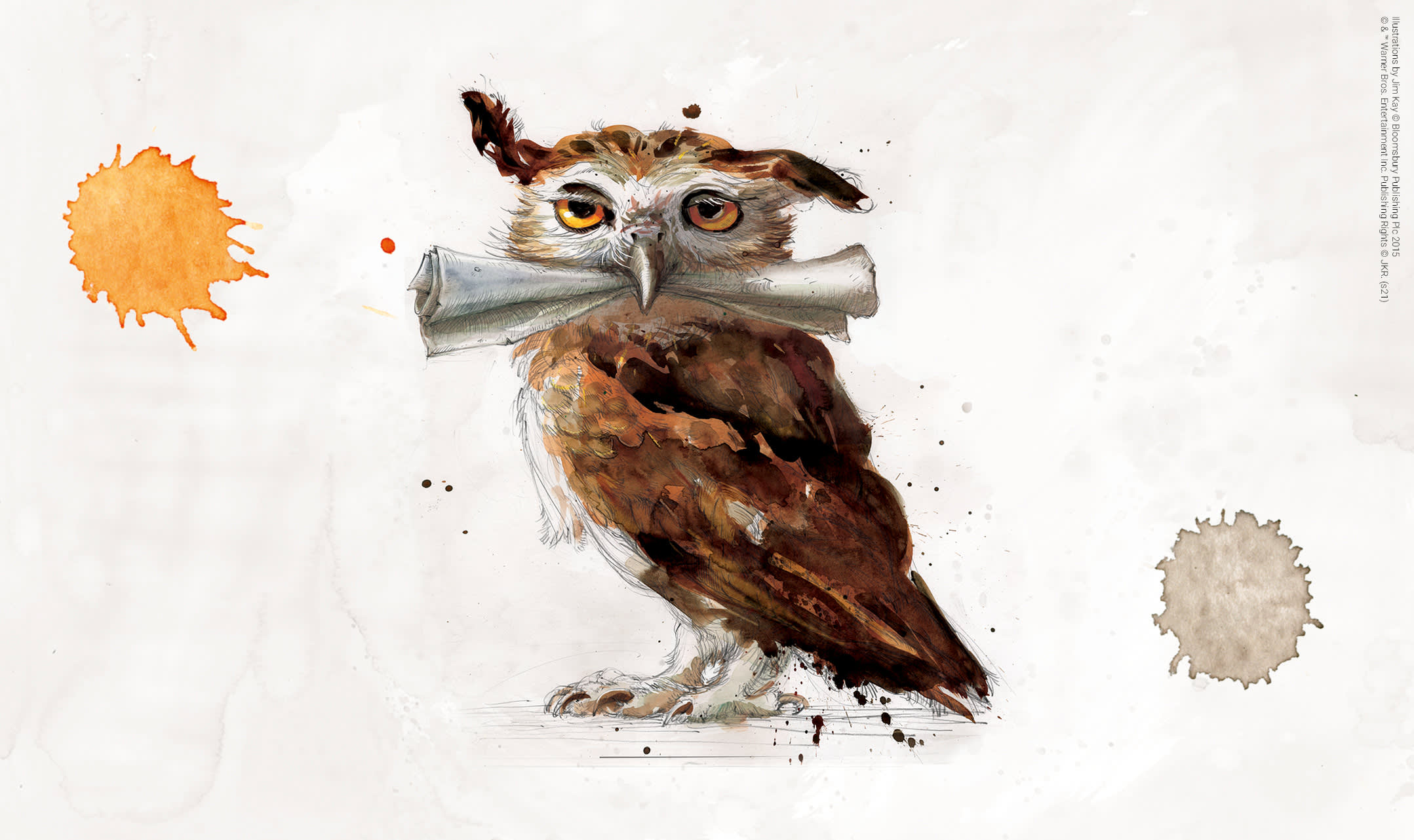HPRM-week-one-jim-kay-owl