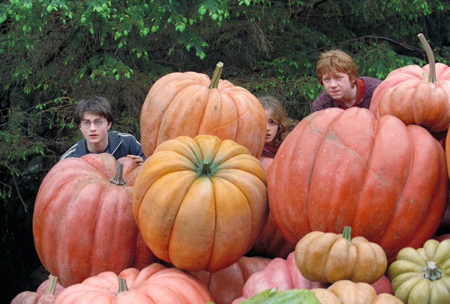 HP-F3-prisoner-of-azkaban-harry-ron-hermione-pumpkin-patch-hiding-web-landscape