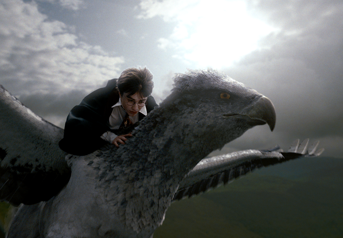 Hippogriff Official Harry Potter Encyclopedia hippogriff-official-harry-potter-encyclopedia