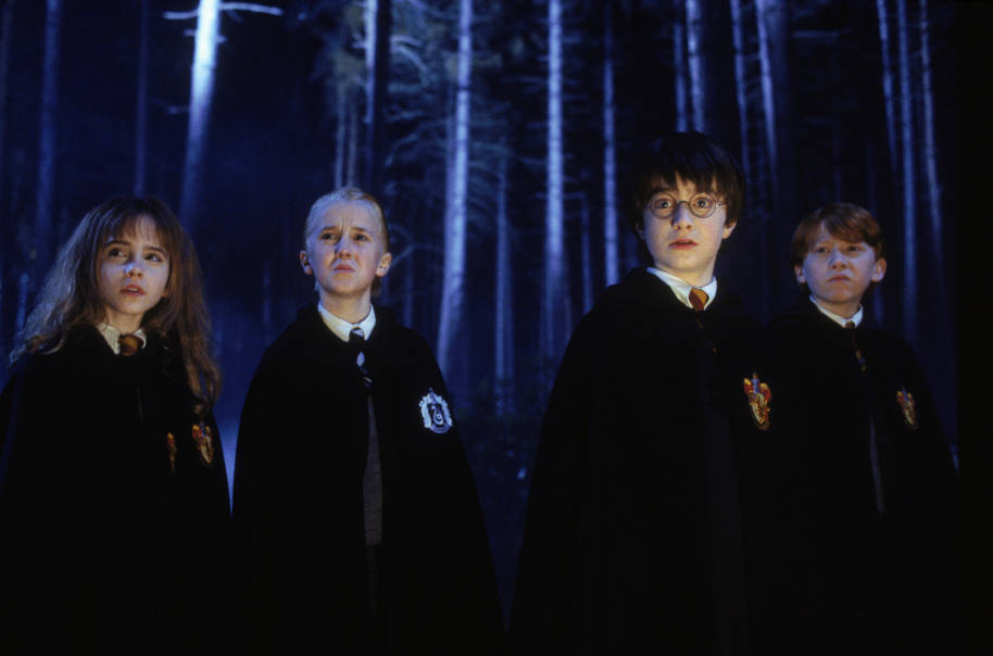 HP-F1-philosophers-stone-harry-hermione-ron-draco-forbidden-forest-detention-web-landscape