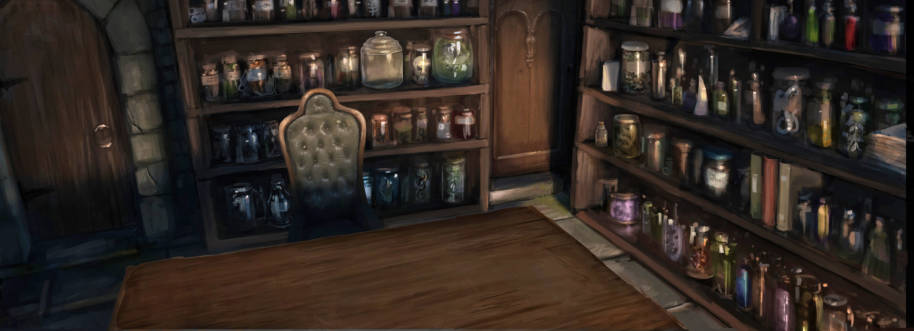 The potion class storeroom from the Chamber of Secrets 