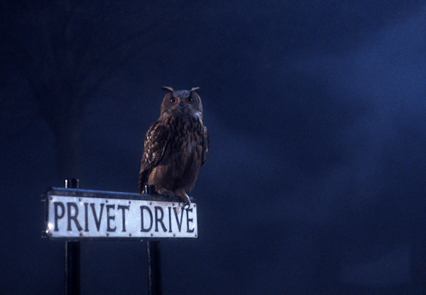 Number Four, Privet Drive | Official Harry Potter Encyclopedia
