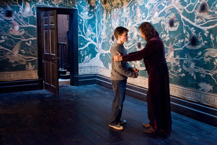 Harry and Sirius by the Black family tapestry at number twelve, Grimmauld Place