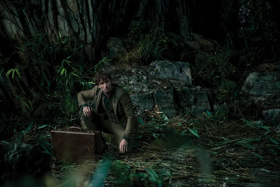 FB-F3-the-secrets-of-dumbledore-newt-crouching-by-case-jungle-web-landscape?w=914&q=70&fm=webp