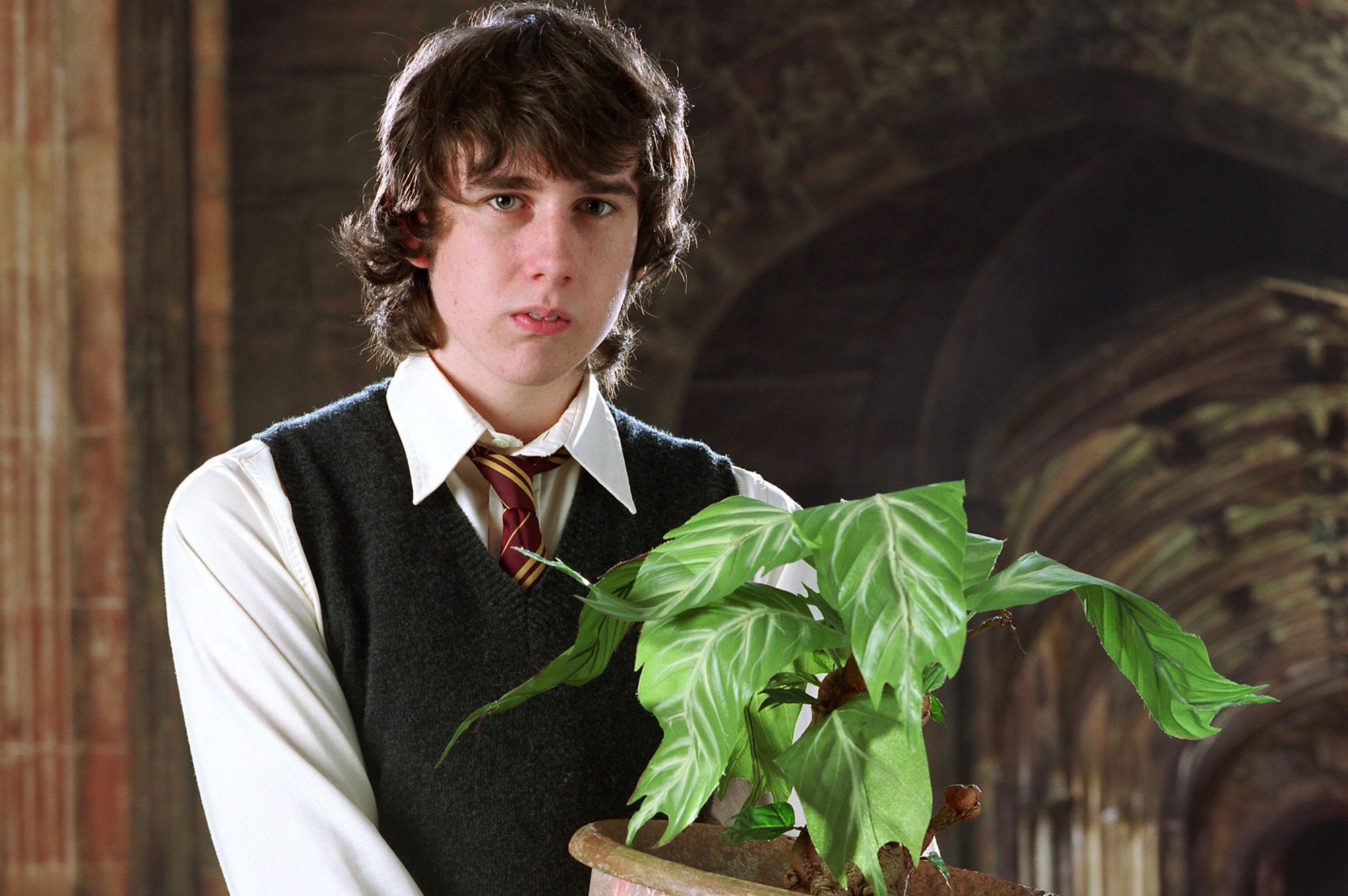 What would Wizarding World characters be thankful for