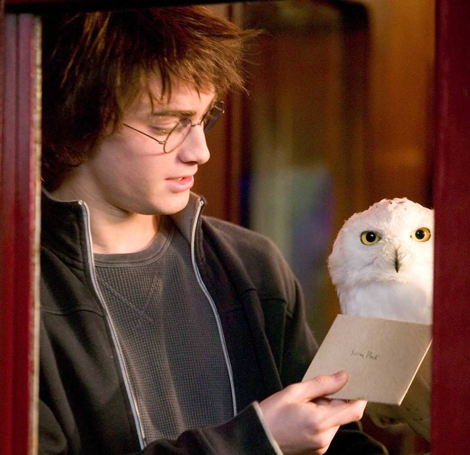 wb-hp4-goblet-of-fire-harry-owl-letter-hedwig