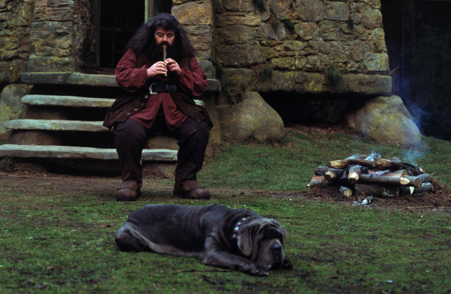 Hagrid sat outside of his hut playing the flute. Fang is lying on the grass in front of him.