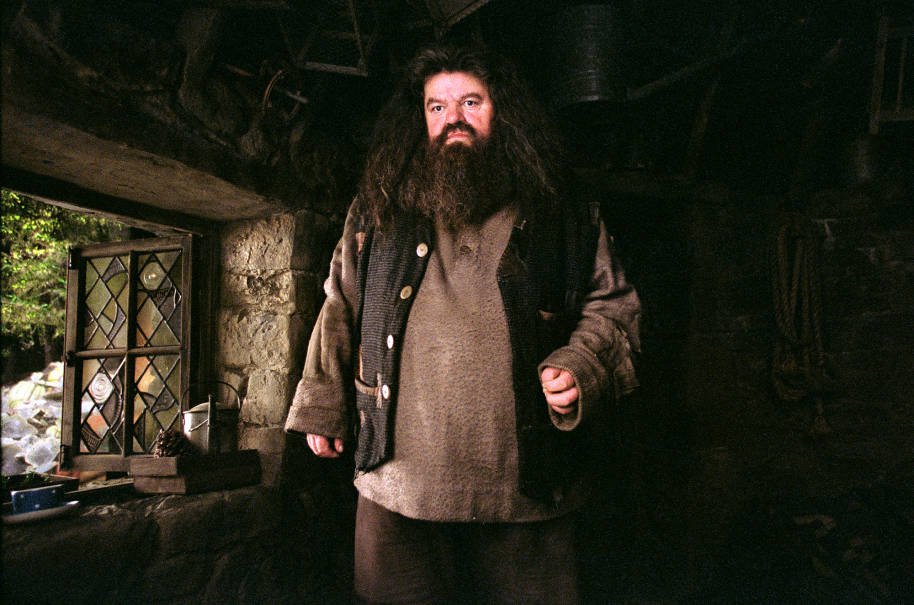 HP-F3-prisoner-of-azkaban-hagrid-standing-in-hut-open-window-serious-web-landscape