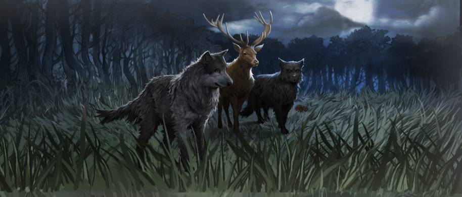 Prongs, Padfoot, Moony and Wormtail in their transfigured animal forms.