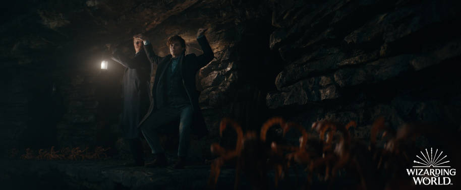 FB-F3-secrets-of-dumbledore-trailer-watermarked-newt-theseus-crab-walk-cave-web-landscape