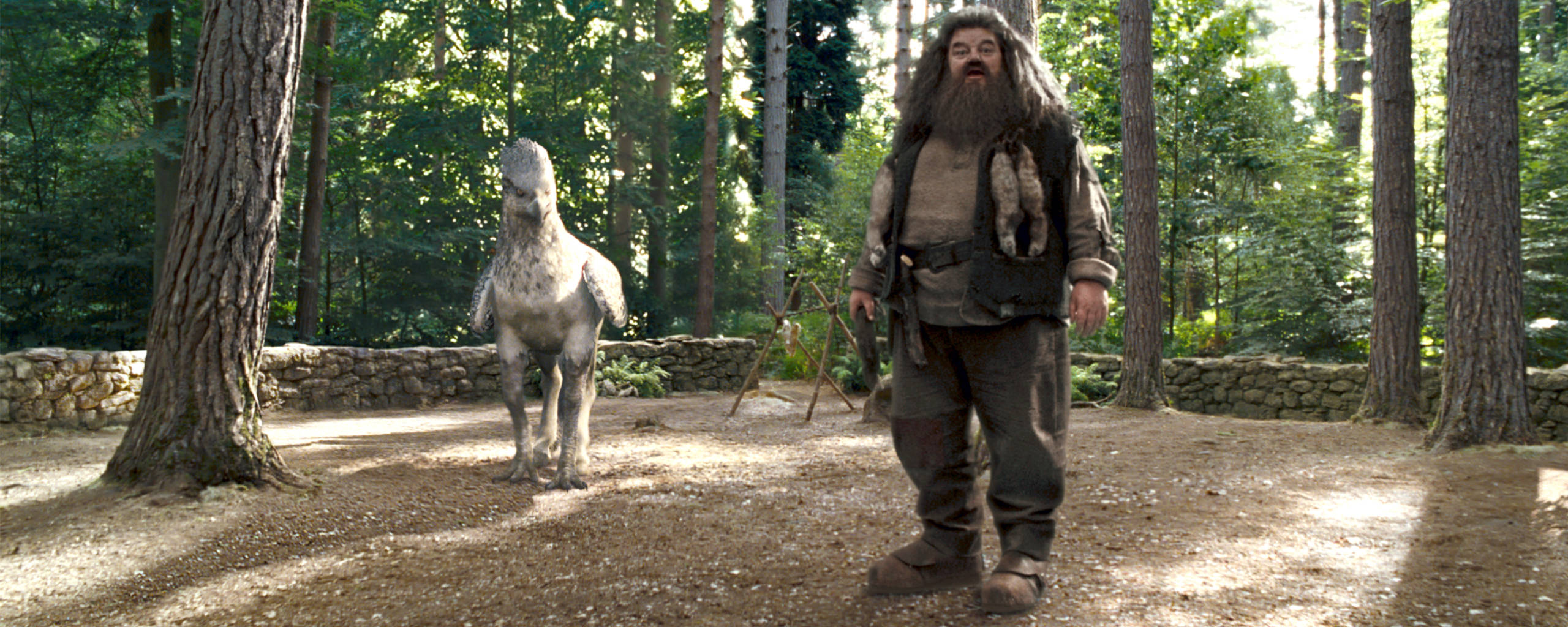 Hagrid and Buckbeak standing in a clearing during a Care of Magical Creatures lesson.