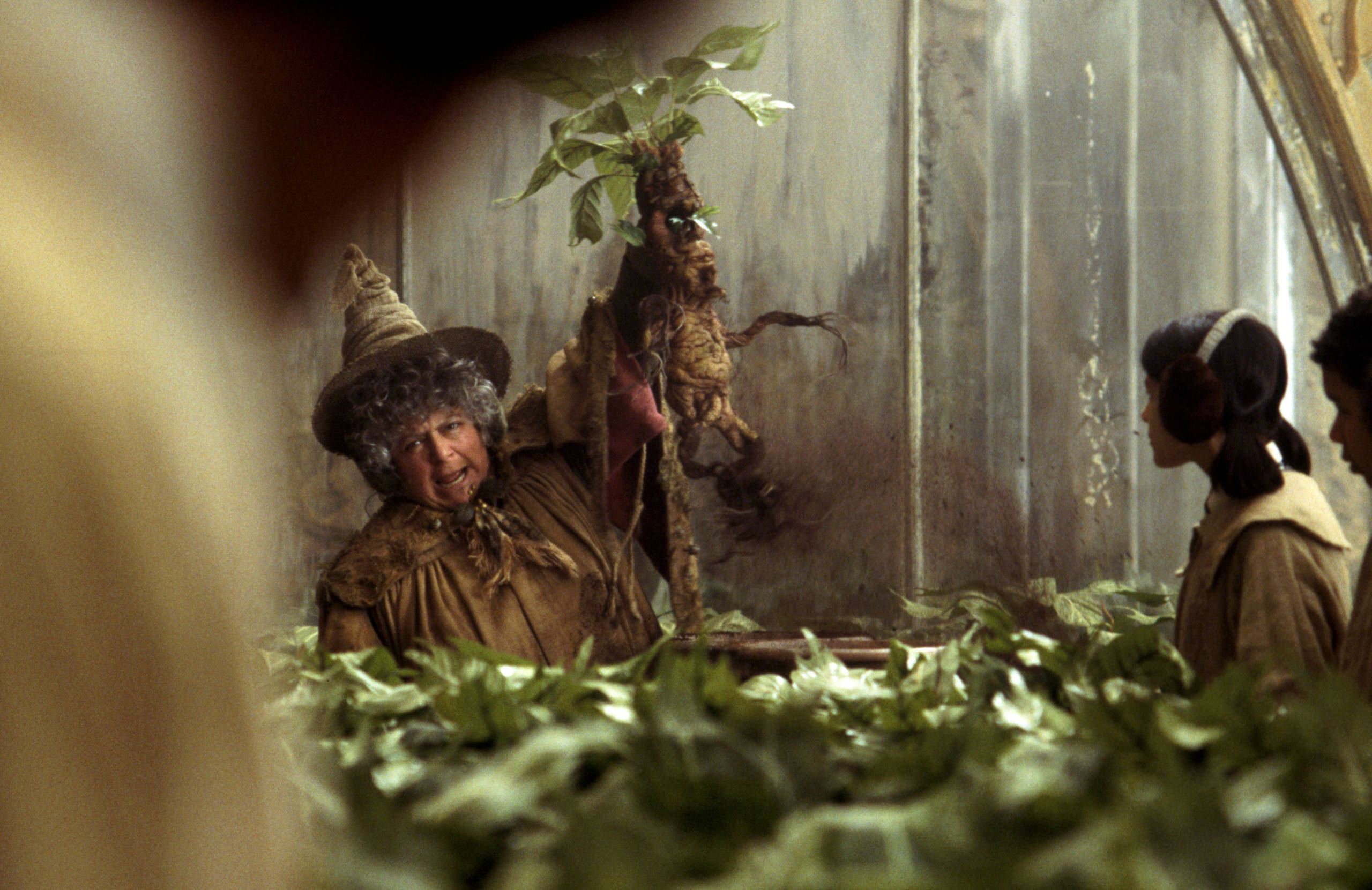 Sprout holds a mandrake in her greenhouse.