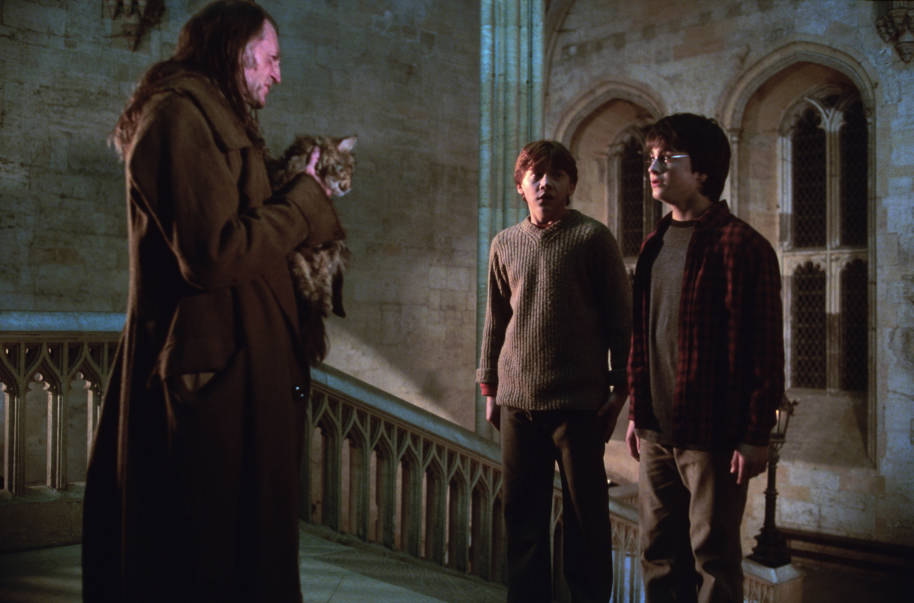 Filch and Mrs Norris catch Ron and Harry out of bed