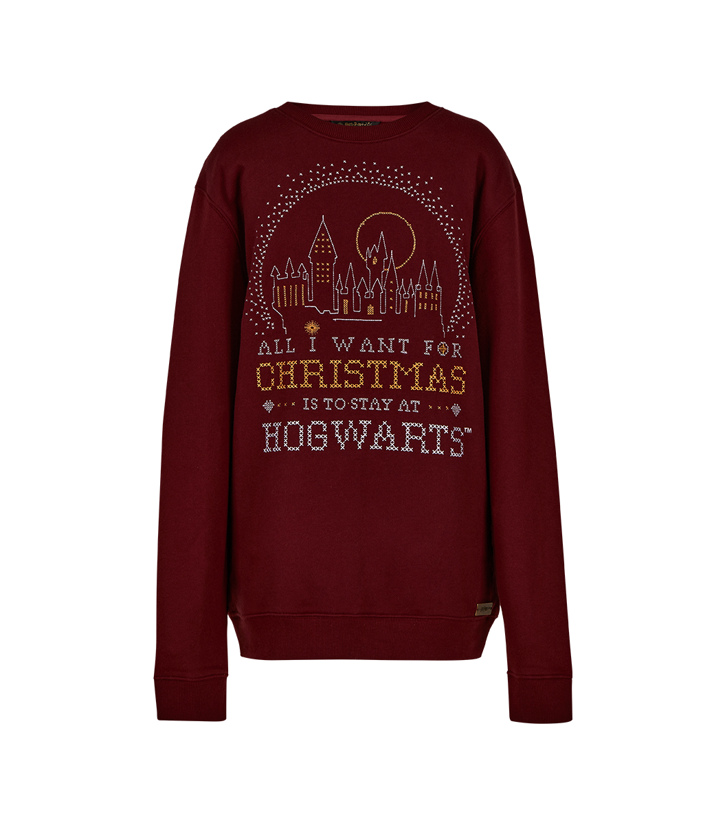 Get into the festive spirit with our Wizarding World Christmas gift guide  for 2020
